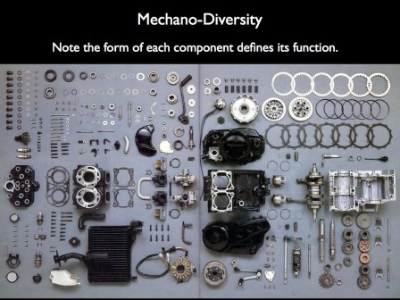 mechano-diversity.jpg, Apr 2022