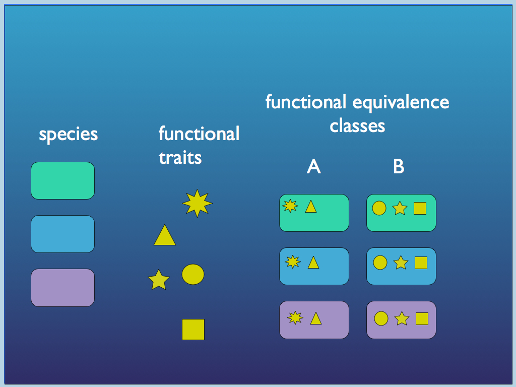 Functional Equivalence in bacteria