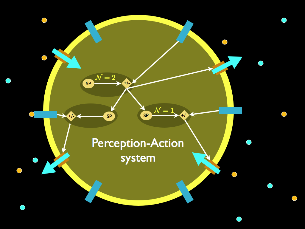 perception-action-cell
