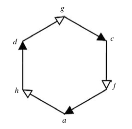 circular formal (hierarchical) causation
